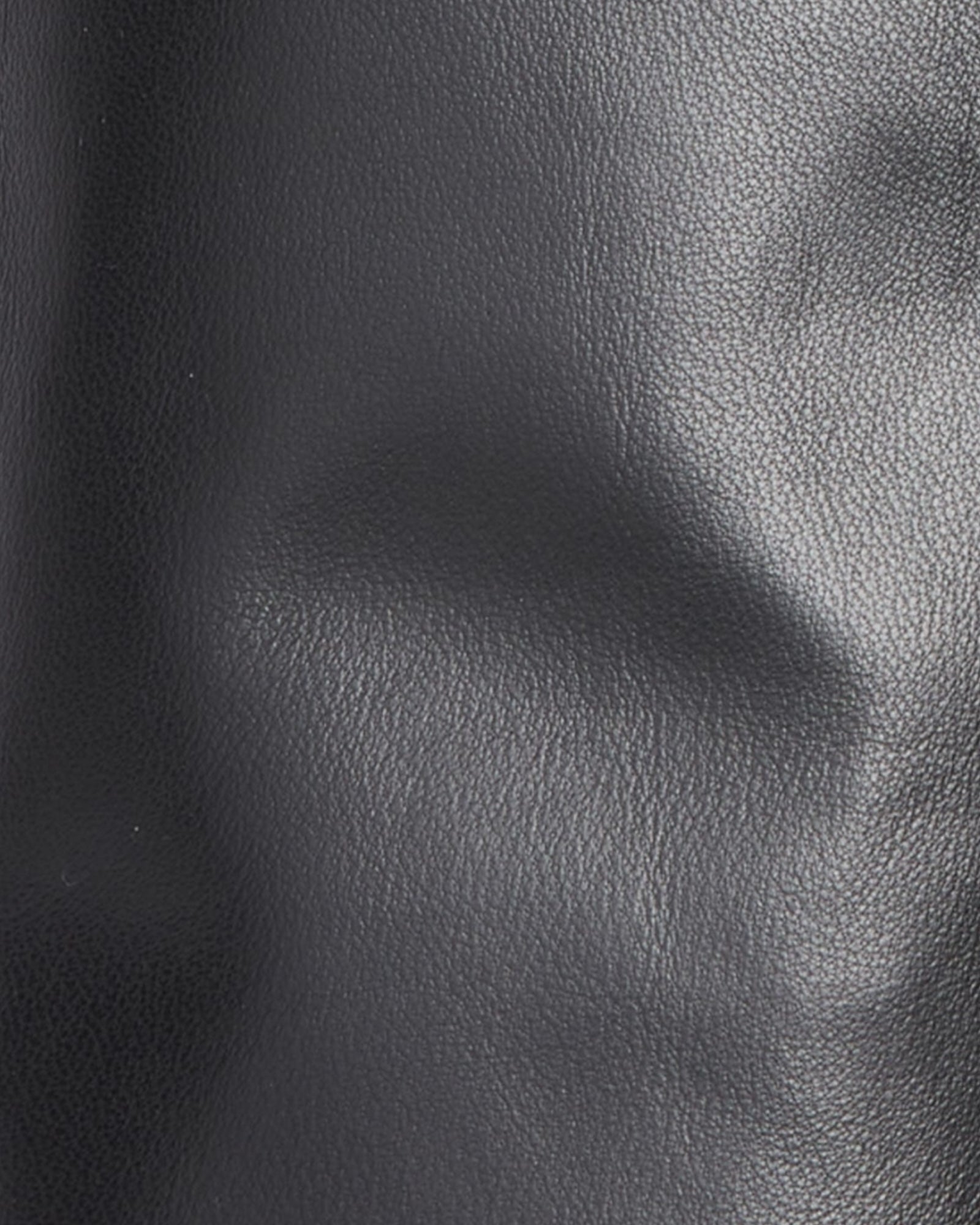 Anya Lambskin Leather Opera Gloves