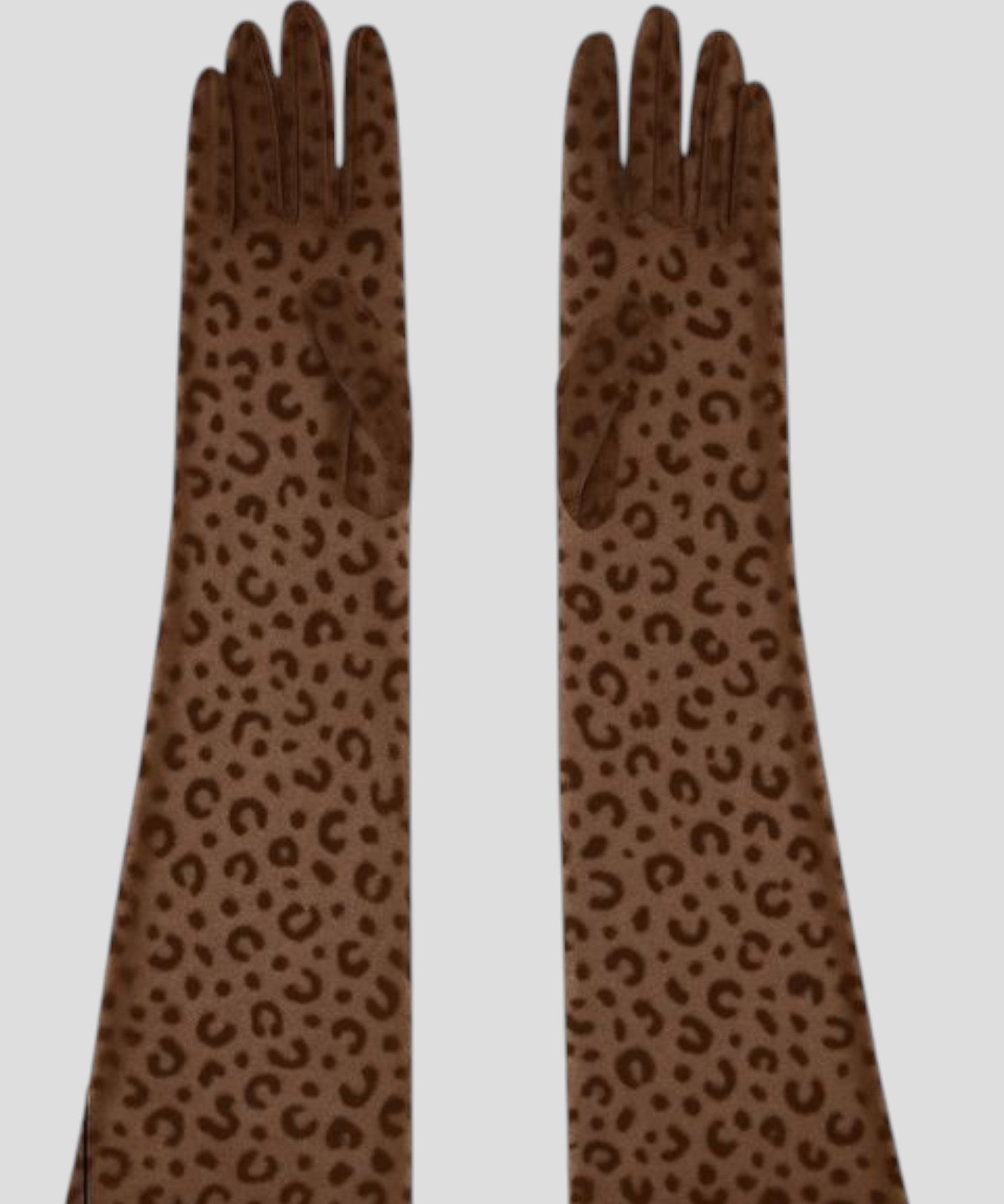 Queen Leopard Print Sheer Mesh 55cm Opera Length Glove