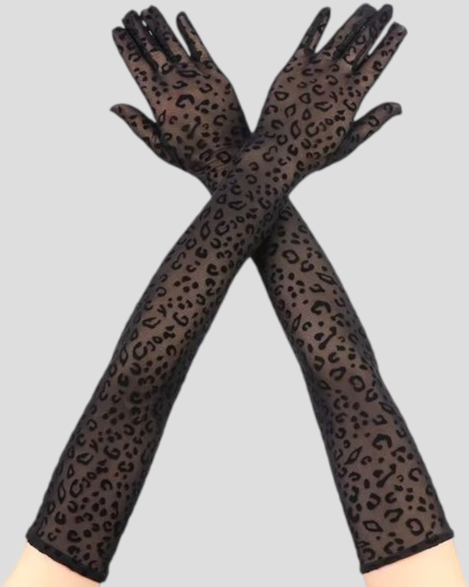 Queen Leopard Print Sheer Mesh 55cm Opera Length Glove