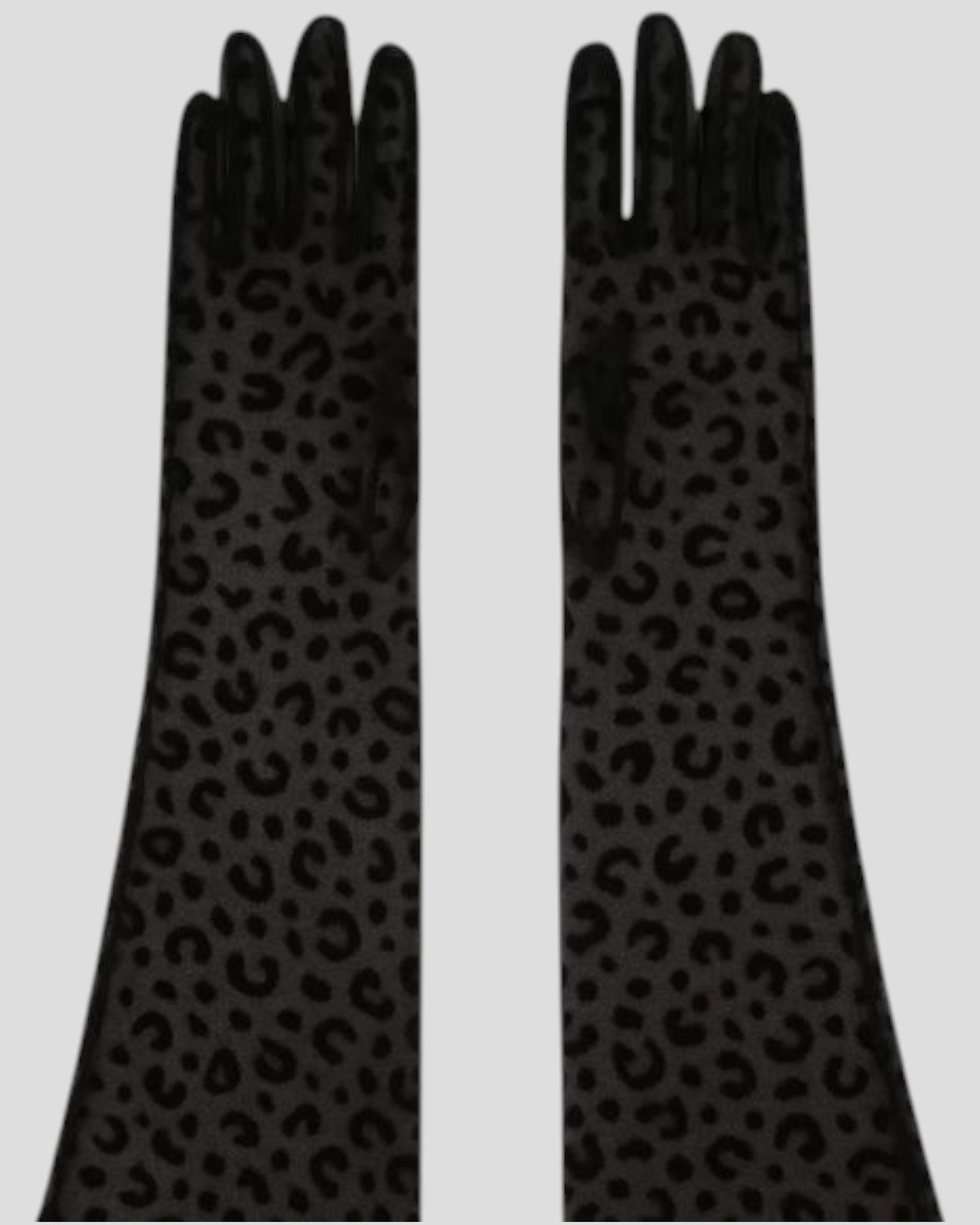 Queen Leopard Print Sheer Mesh 55cm Opera Length Glove